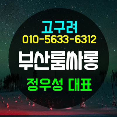 해운대룸 해운대룸바 해운대룸사롱 찾으신다면 정대표가 진리