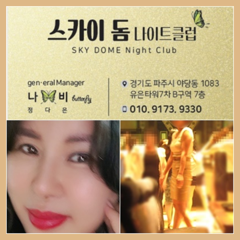 야당스카이돔나이트