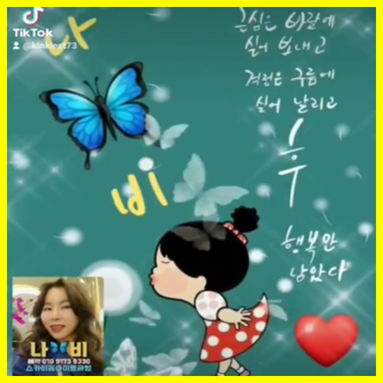 야당나이트