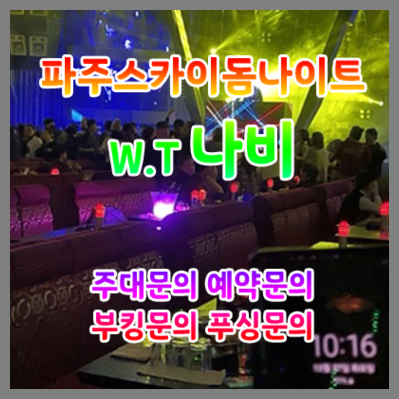 야당스카이돔나이트