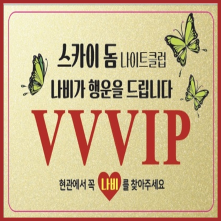파주스카이돔나이트