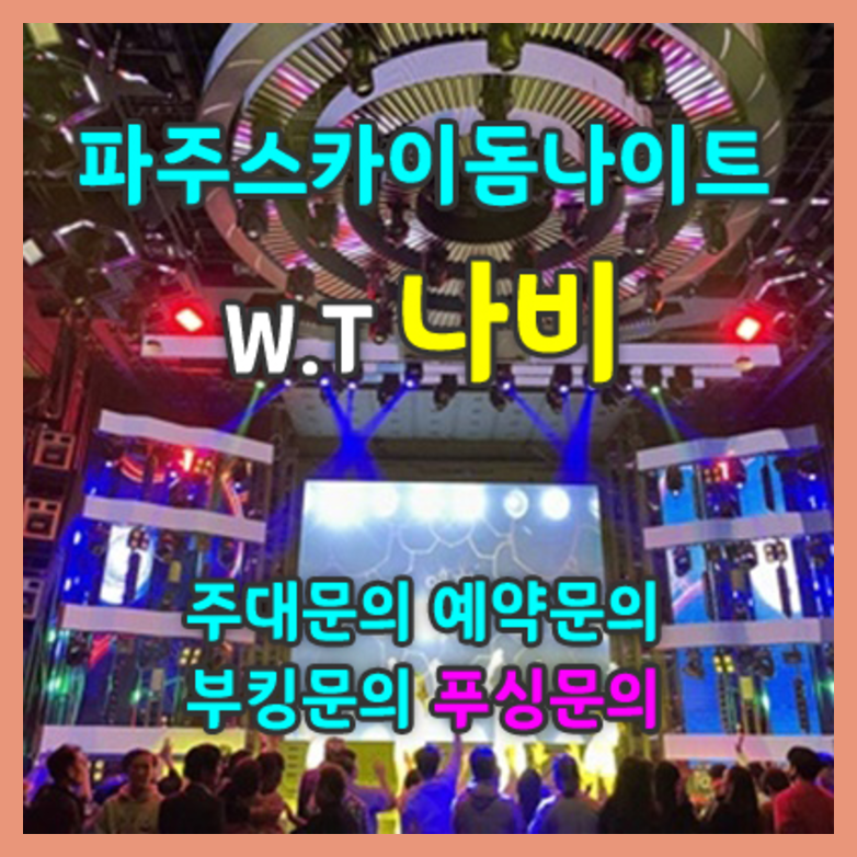 야당스카이돔나이트
